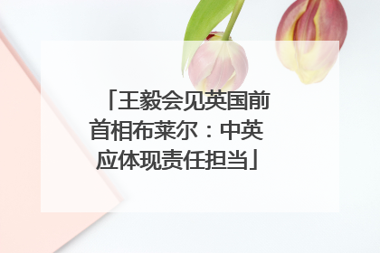 王毅会见英国前首相布莱尔：中英应体现责任担当